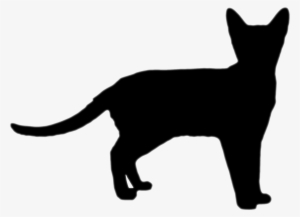 Cat Silhouette - Plakat Do Wydruku Kot