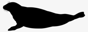 Cat Silhouette Sea Lion Black Download - Seal Silhouette