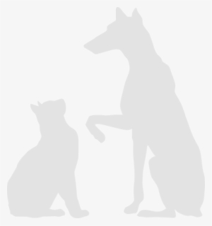 Dog And Cat Silhouette - Silhouette