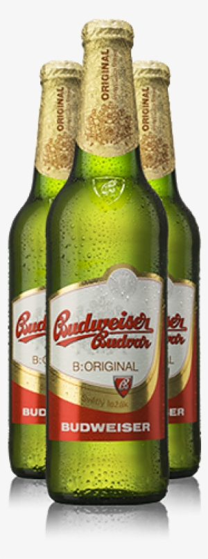 This Premium Lager Is Produced Exclusively From The - Budweiser Budvar (czechvar) 12°