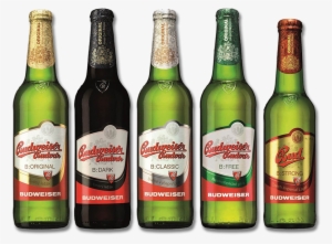 5 Budvars - Budweiser Budvar