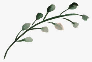 Watercolor Flower - Watercolor Painting