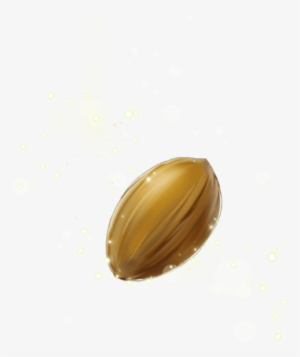 Seed Of The Eternal Tree Transparent - Seed Transparent Background