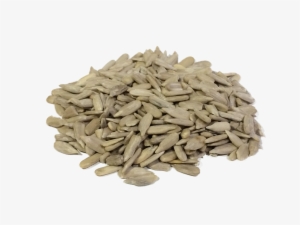 Sunflower Seeds Png