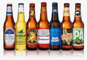 Budweiser Beer Bottle Png For Kids - Shock Top Belgian White Beer - 12 Fl Oz Bottle