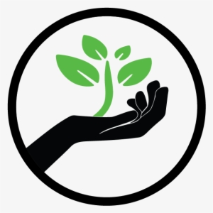 Hand With Plant Png