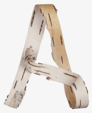 Birch Bark Font - Birch Bark