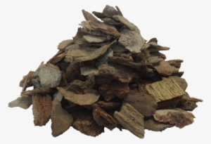 Douglas Tree Bark - Bark