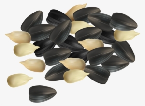 Seeds Clipart Png