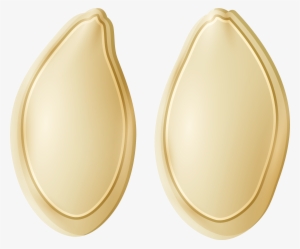 Pumpkin Seeds Png Clip Art - Pumpkin Seeds Clipart Png