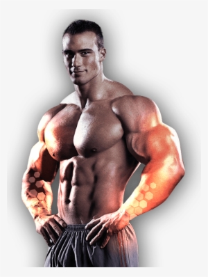 Use Bodybuilding Supplements To Create Your Body - Muscle
