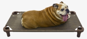 4legs4pets Place Board 40×22 Premium Tweed Cot - Bed