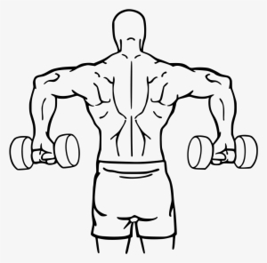 Dumbbell Drawing Bodybuilder Arm - Cuban Press