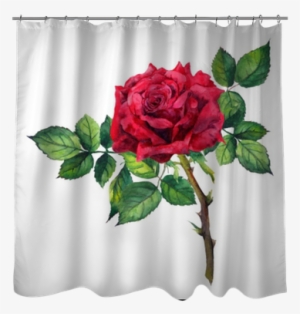 Red Rose Flower - Watercolor Painting