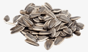 Seeds Clipart Transparent Background - Ηλιόσποροσ