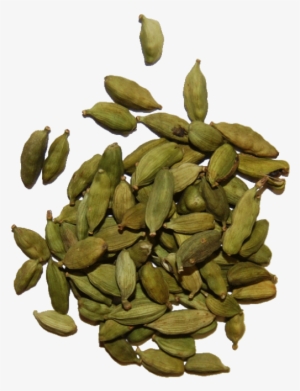 Cardamom Pods Green V=1368709342 - Herbal