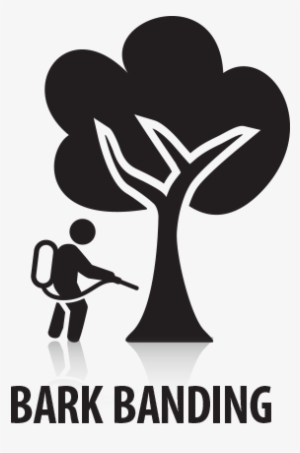 Bark-banding - Aaron's Greenscape Inc