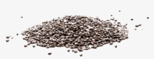 Chia Seeds - Chia Seeds Argentina