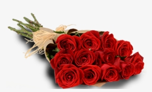 Red Roses - 1 Dozen Of Roses