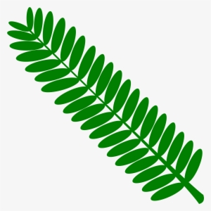 This Free Icons Png Design Of Mimosa Leaf Twig Plant