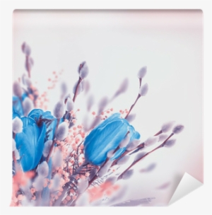 Blue Tulips With Mimosa, Spring Background Wall Mural - Siswoo Cooper I7 16gb, Network: 4g, 5.0