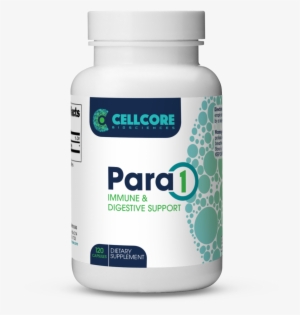 Immune & Digestive Support - Agaricus