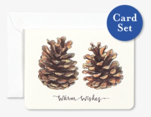 Pinecones Warm Wishes Mini Card Set Of - Pinecones Transparent