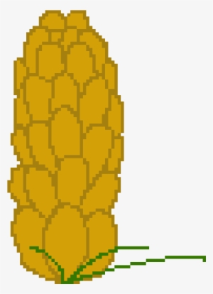 Male Pine Cone - Illustration