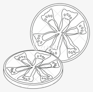 Tomato Slice Drawing At Getdrawings - Sliced Tomato Drawing Png