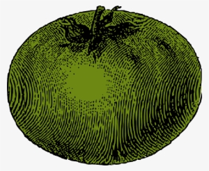 Mb Image/png - Tomato Clip Art