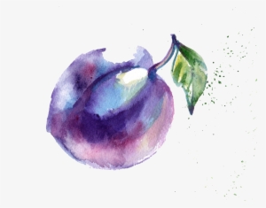 Watercolor Paint