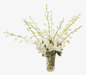 Orchid Beauty White, Small - Bouquet