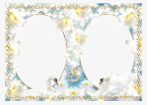 Two Frameworks For Wedding Photos - Wedding Swan Png Photoshop