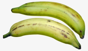 Free Png Green Banana Png Images Transparent - Png Image Of Plantain