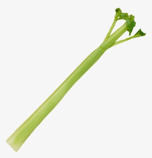1 Stalk - Leek