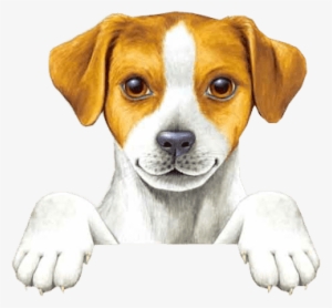 Unas Preciosas Imagenes De Mascotas, Perros Y Gatiros - Tarjetas De Presentacion Veterinario