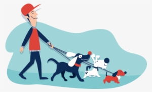 Lo Que Tenés Que Saber - Paseador Perro