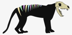 Perro Esqueleto - Punxsutawney Phil