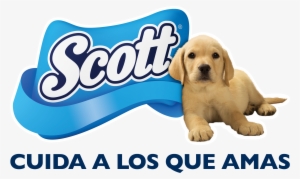 Scott - Scott Scott Kitchen Towel X 2 Rolls
