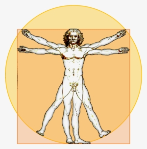 File - Vitruvian-icon - Vitruvian Man Logo Png
