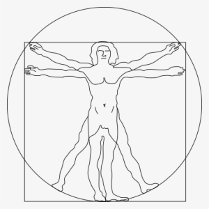 Vitruvian Man Outline Svg