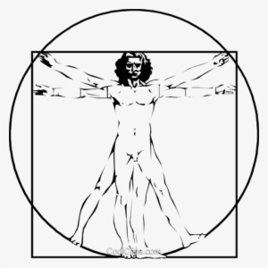 Canon Of Proportions Vitruvian Man Royalty Free Vector - Vitruvian Man