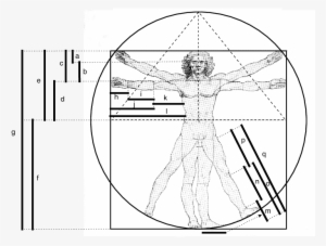Leonardo Da Vinci's Interpretation Of Vitruvius - Drawing