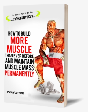Paperback $15 - - How To Build More Muscle Than Ever Before And Maintain