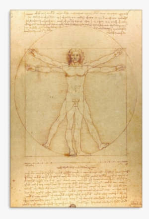 Vitruvian Man - Da Vinci - Virtivian War Leonardo Da Vinci