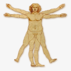 Overweight Vitruvian Man - Vitruvian Man Logo Transparent