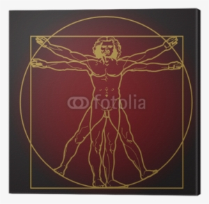 Vitruvian Man Vector