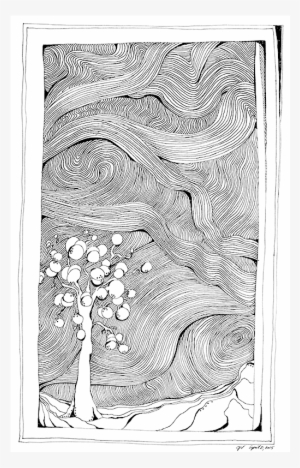 Little Snowball Tree Pen & Ink Art - Drawing