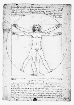 Caesariano's Vitruvian Man Caesariano's Vitruvian Figure - Leonardo Da Vinci
