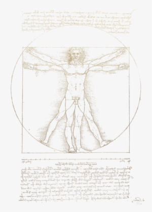 Vitruvian Man By Leonardo Da Vinci In Gold On Black - Leonardo Da Vinci